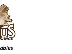 Tergus