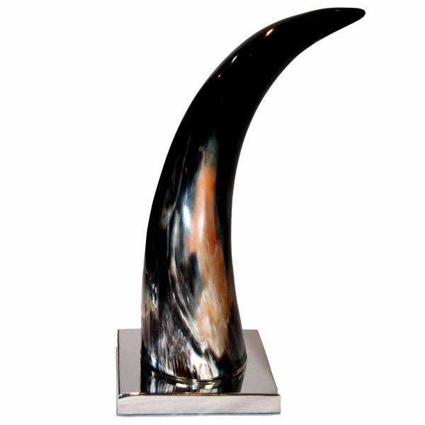 Large Horn on Metal Base