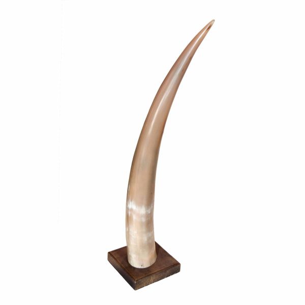Large Marbled Horn on Wooden Base